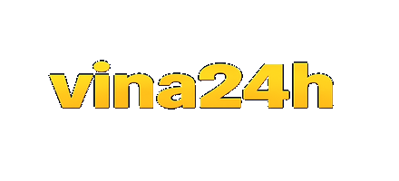 VINA24H